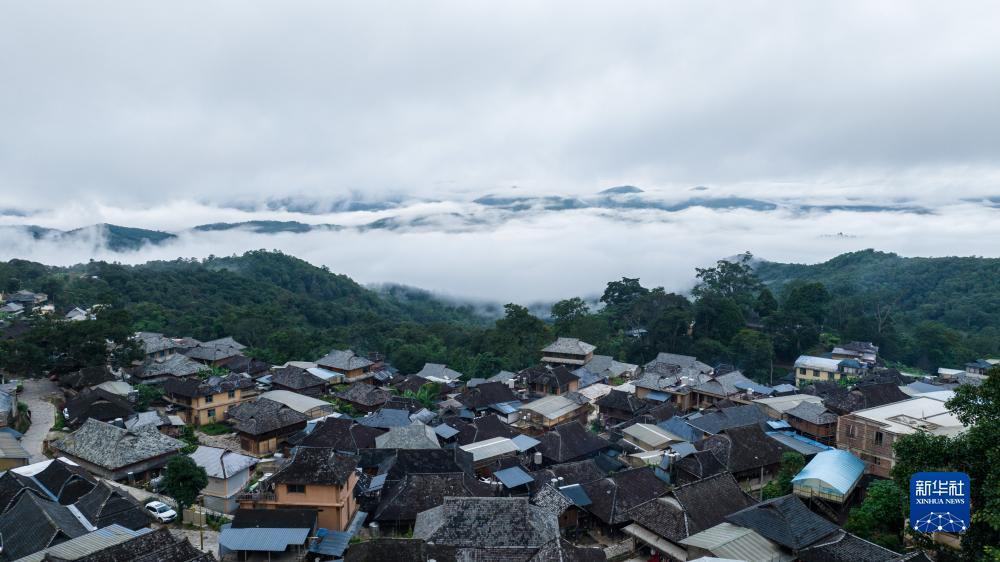 开户自助体验金888元